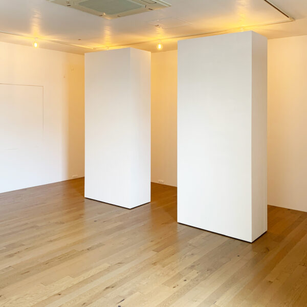 THE LOCAL TUAD ART GALLERY