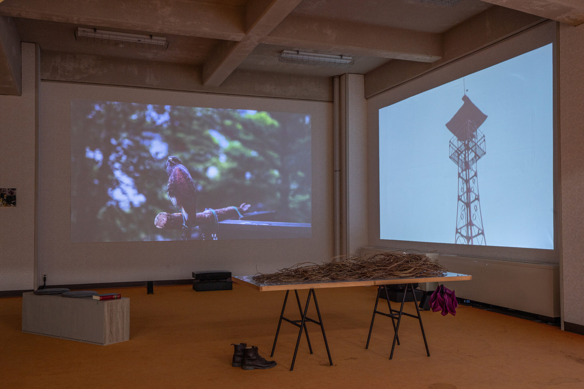 大和由佳《VINELAND》展示風景（山形ビエンナーレ2024出品作品／山形市蔵王体育館）写真：三浦晴子